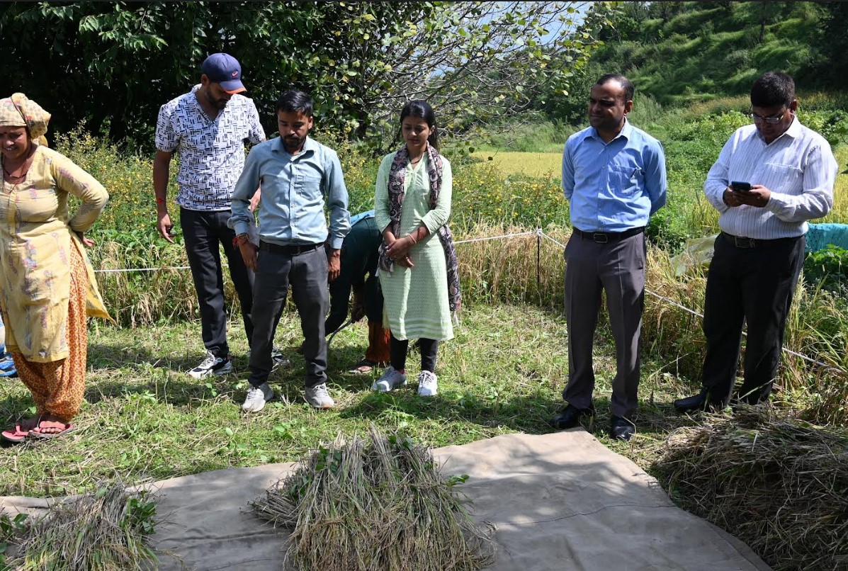 टिहरी: जिलाधिकारी की मौजूदगी में मंज्याड़ गांव में की गई धान की क्रॉप कटिंग